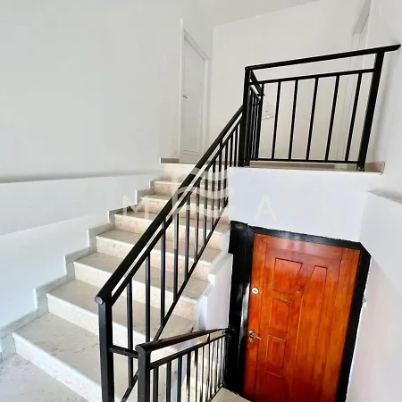 Enlightened 650 * Golem (Tirana)